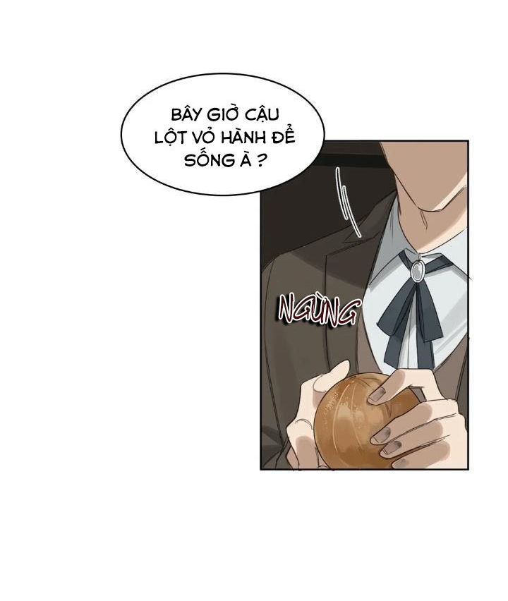 đọc truyện Bữa Tối Dưới Ánh Nến Của Kẻ Sát Nhân Lewellyn Chương 12 ảnh 21 tại Thiên Thai Truyện