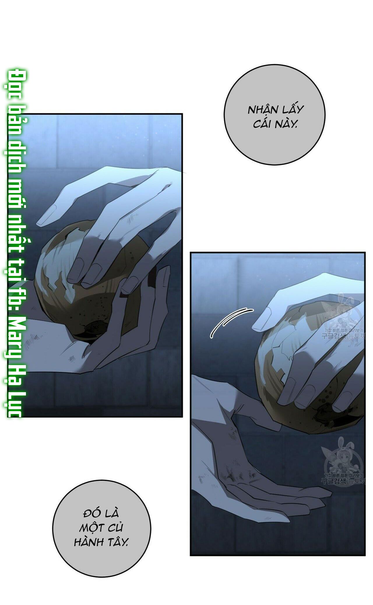 đọc truyện Bữa Tối Dưới Ánh Nến Của Kẻ Sát Nhân Lewellyn Chương 44.3 ảnh 12 tại Thiên Thai Truyện