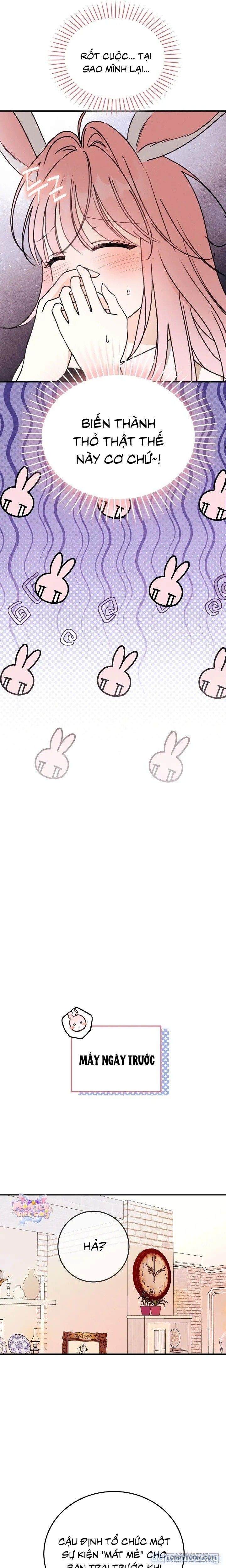 đọc truyện Bunny On! Chương 1 ảnh 4 tại Thiên Thai Truyện