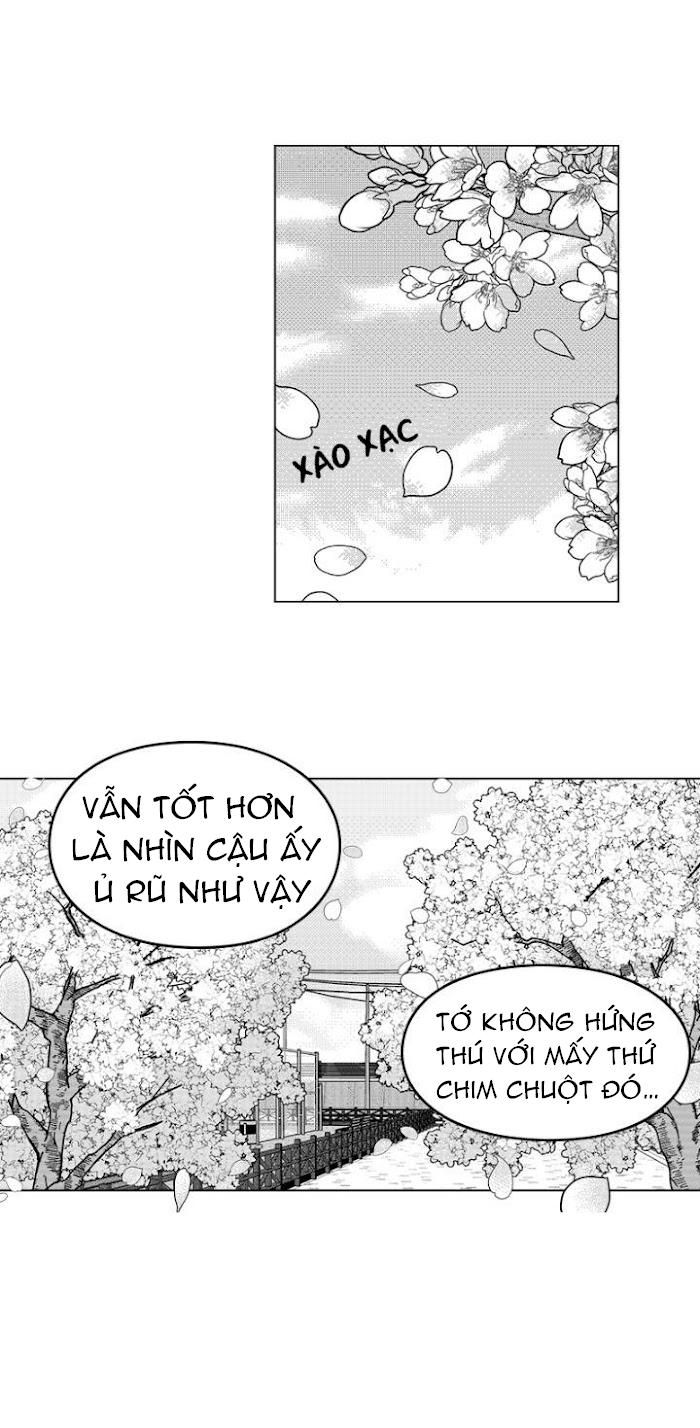 đọc truyện Bước Tiếp Theo Chương 10 ảnh 7 tại Thiên Thai Truyện