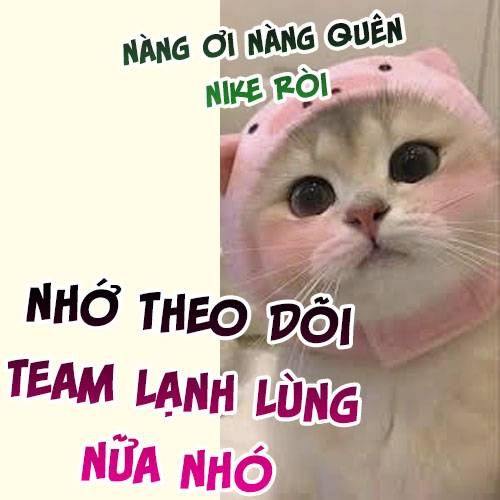 Cả Nhà Bạo Quân Đều Dựa Vào Việc Đọc Tiếng Lòng Của Cô Ấy Để Giữ Mạng Chương 41 page 7 - Giả Dược