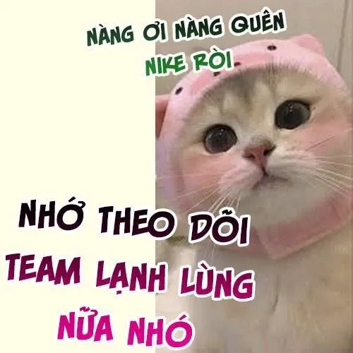 Cả Nhà Bạo Quân Đều Dựa Vào Việc Đọc Tiếng Lòng Của Cô Ấy Để Giữ Mạng Chương 42 page 28 - Giả Dược