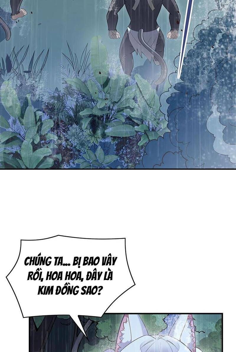 đọc truyện Các Nữ Đồ Đệ Của Ta Đều Là Chư Thiên Đại Lão Tương Lai Chương 227 ảnh 57 tại Thiên Thai Truyện