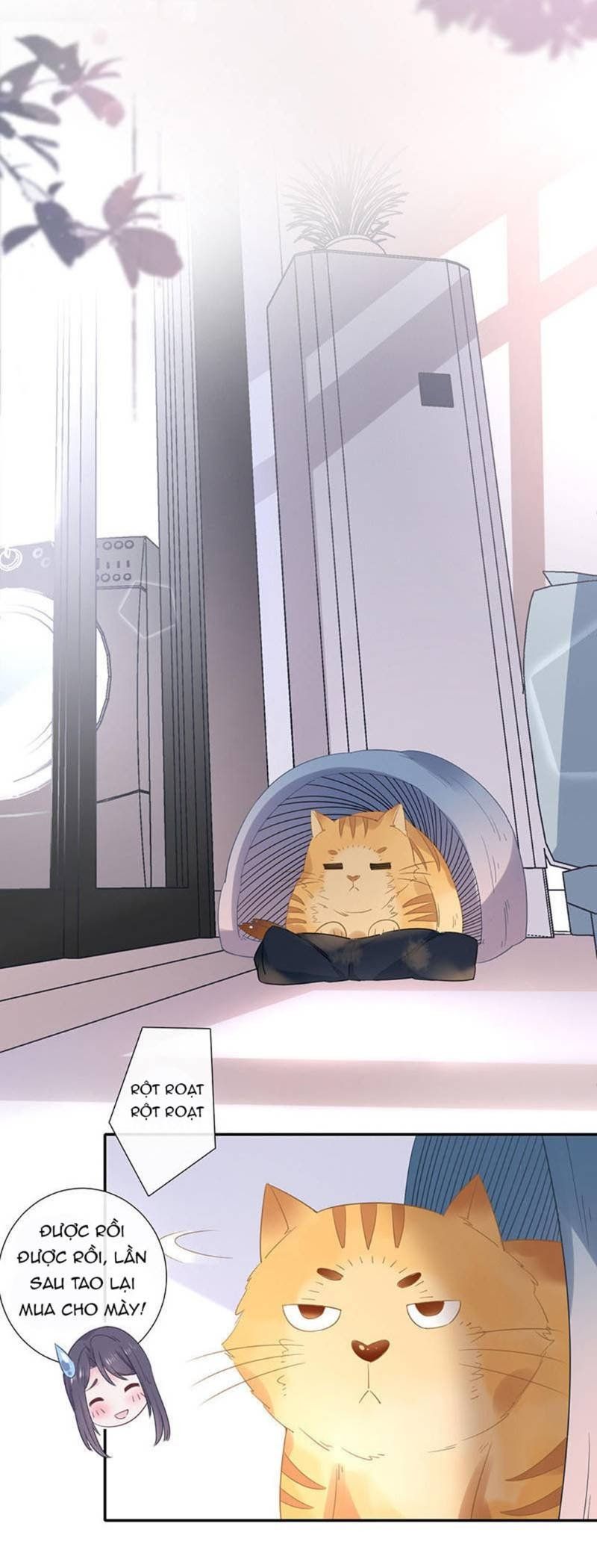 đọc truyện Cái Thùng Cơm Sát Vách Chương 13 ảnh 3 tại Thiên Thai Truyện