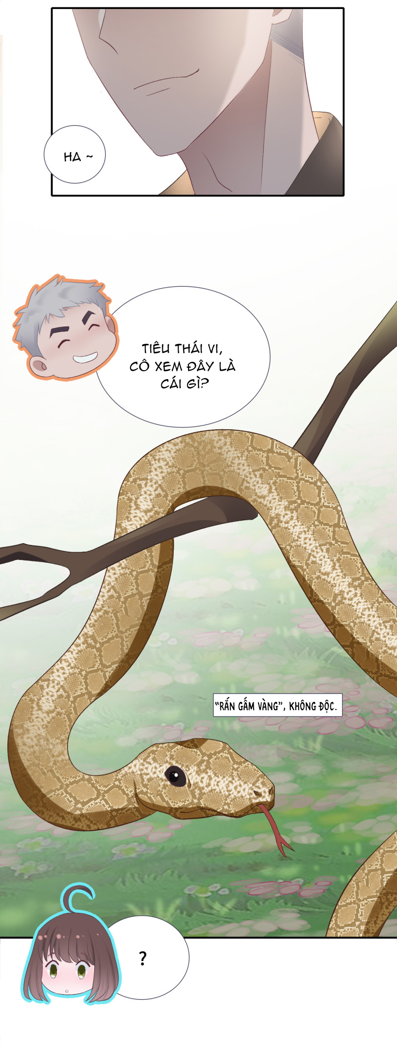 đọc truyện Cái Thùng Cơm Sát Vách Chương 49 ảnh 4 tại Thiên Thai Truyện