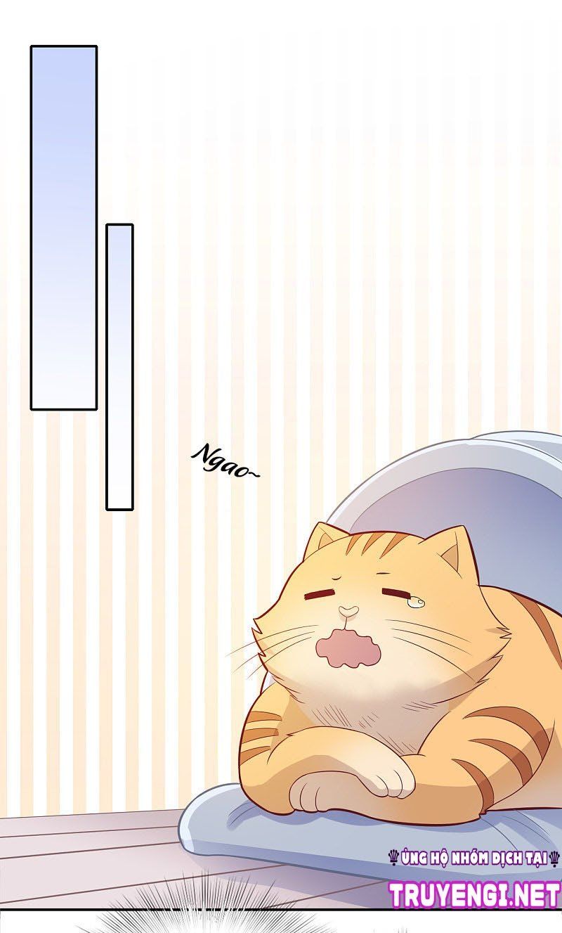 đọc truyện Cái Thùng Cơm Sát Vách Chương 71 ảnh 17 tại Thiên Thai Truyện