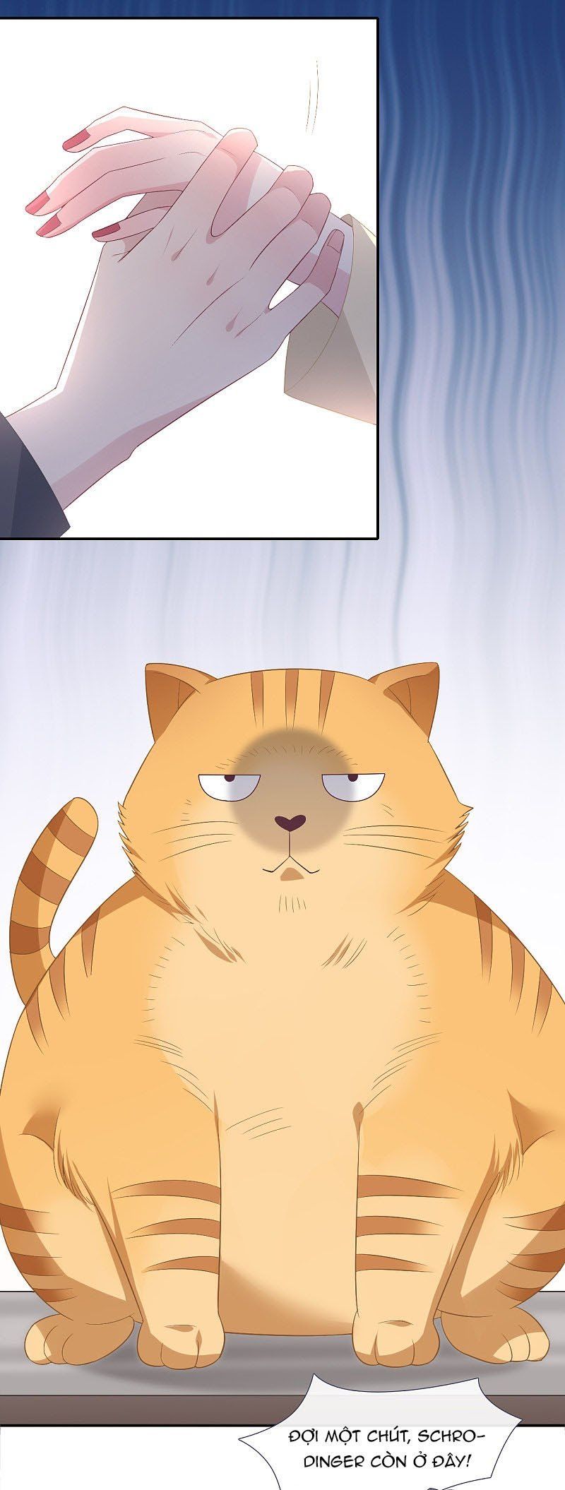 đọc truyện Cái Thùng Cơm Sát Vách Chương 82 ảnh 11 tại Thiên Thai Truyện