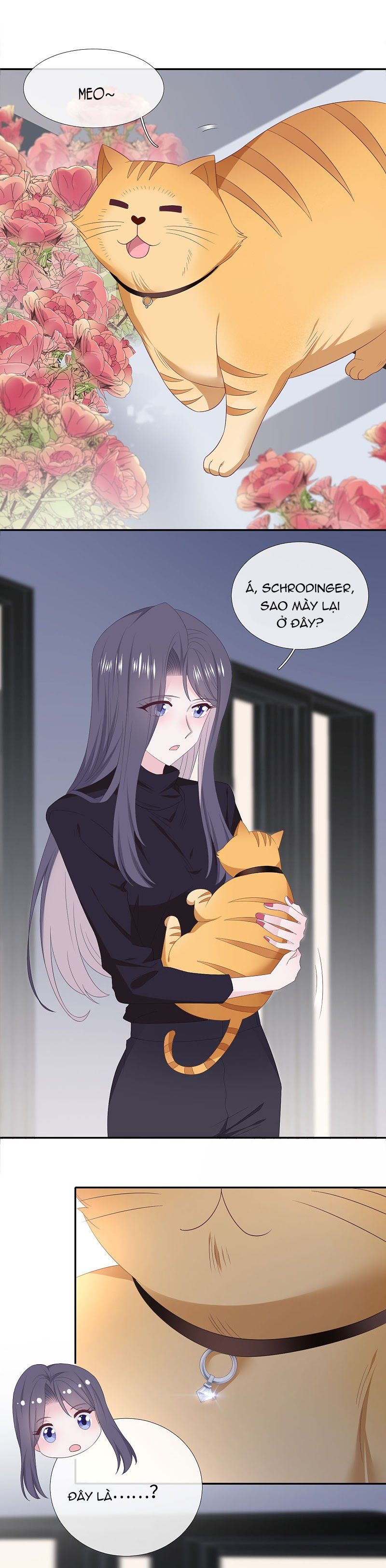 đọc truyện Cái Thùng Cơm Sát Vách Chương 91 ảnh 12 tại Thiên Thai Truyện