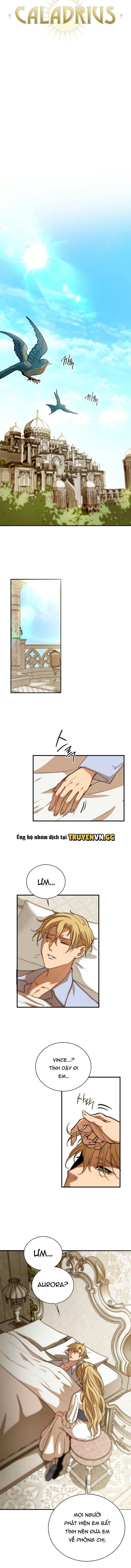 đọc truyện Caladrius – Cánh Chim Cứu Rỗi Chương 2 ảnh 4 tại Thiên Thai Truyện