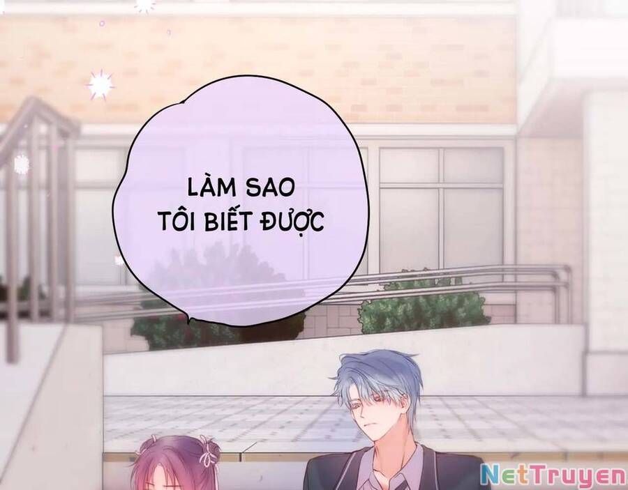 đọc truyện Cạm Bẫy Của Hồ Ly Chương 47 ảnh 11 tại Giả Dược