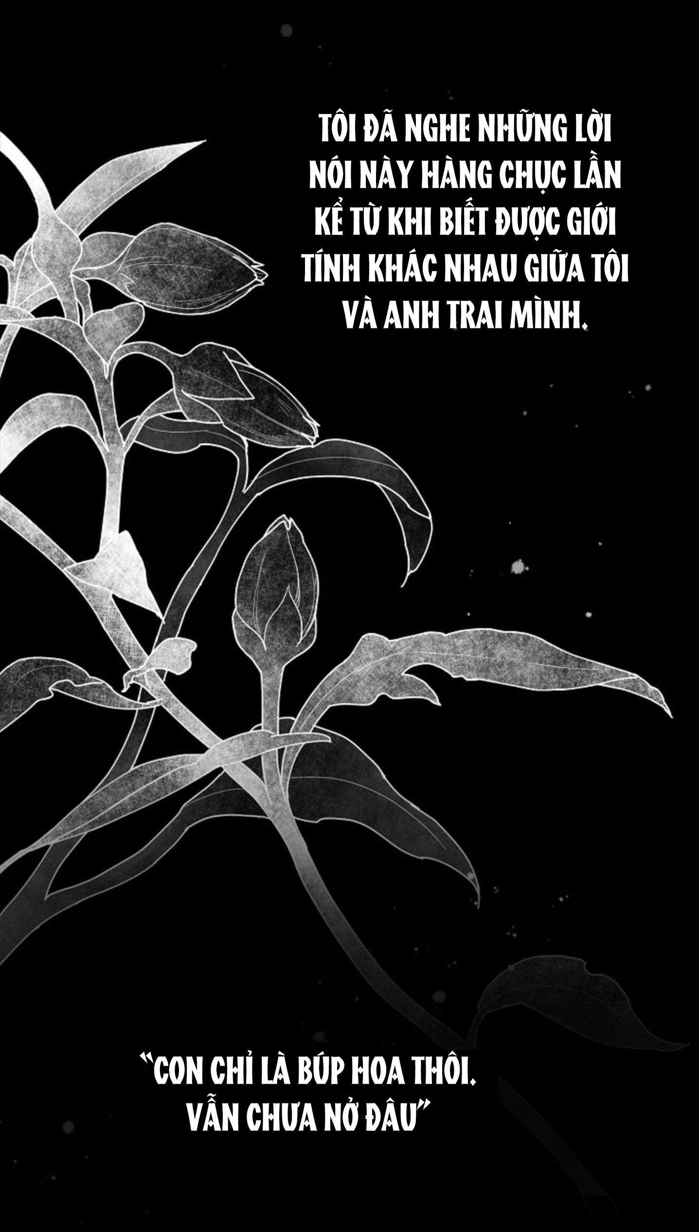 đọc truyện Cảm Nhận Từ Những Gì Tôi Biết Chương 1.2 ảnh 12 tại Thiên Thai Truyện