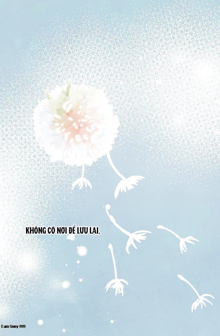 đọc truyện Cảm Nhận Từ Những Gì Tôi Biết Chương 48.5 ảnh 28 tại Thiên Thai Truyện