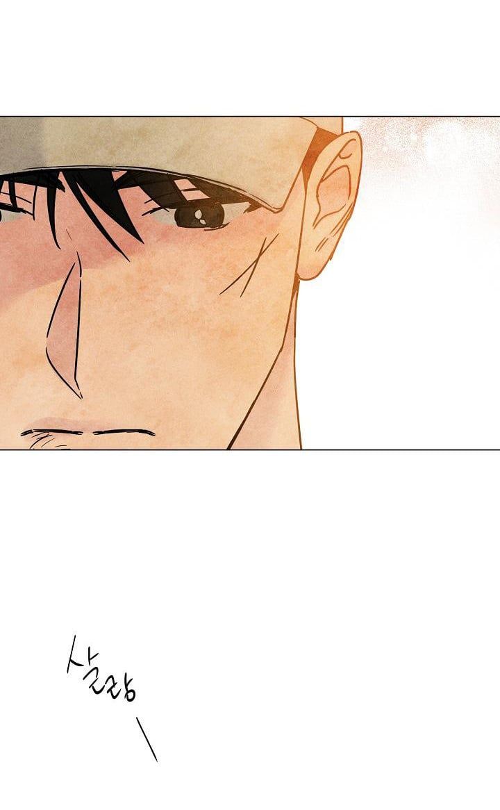 đọc truyện Cảm Nhận Từ Những Gì Tôi Biết Chương 53.5 ảnh 17 tại Thiên Thai Truyện