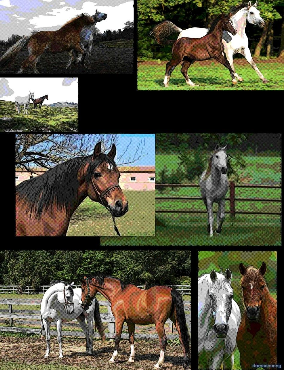 đọc truyện Cảm Ơn Cậu, Mcqueen... Chương 0 ảnh 14 tại Thiên Thai Truyện