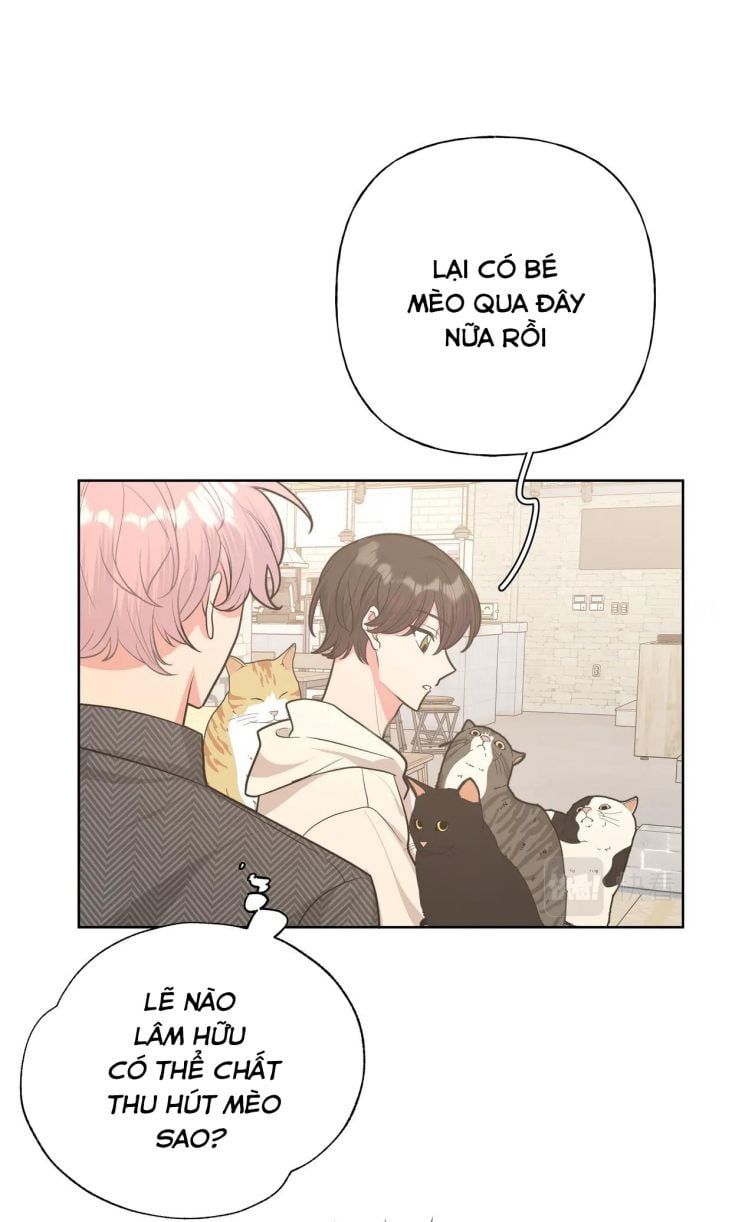 đọc truyện Cẩn Thận Bị Mộng Ma Ăn Sạch Đấy Chương 64 ảnh 12 tại Thiên Thai Truyện