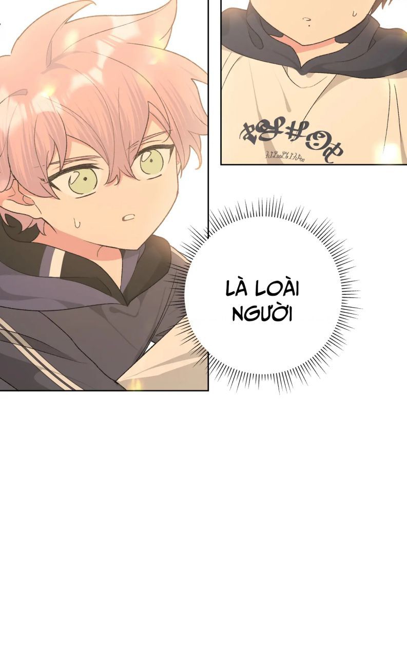 đọc truyện Cẩn Thận Bị Mộng Ma Ăn Sạch Đấy Chương 80 ảnh 58 tại Thiên Thai Truyện