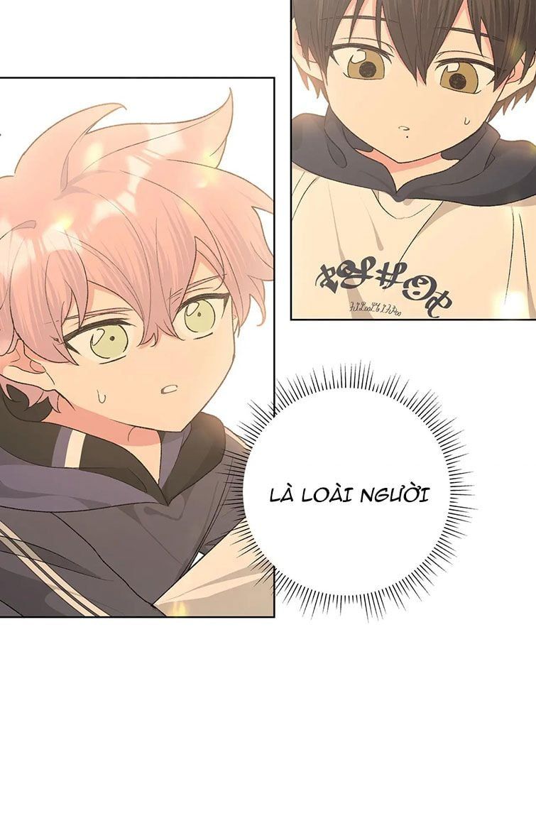 đọc truyện Cẩn Thận Bị Mộng Ma Ăn Sạch Đấy Chương 81 ảnh 11 tại Thiên Thai Truyện