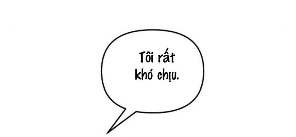 đọc truyện Cẩn Thận Va Phải Tình Yêu Chương 34 ảnh 39 tại Truyện Dạ Ký