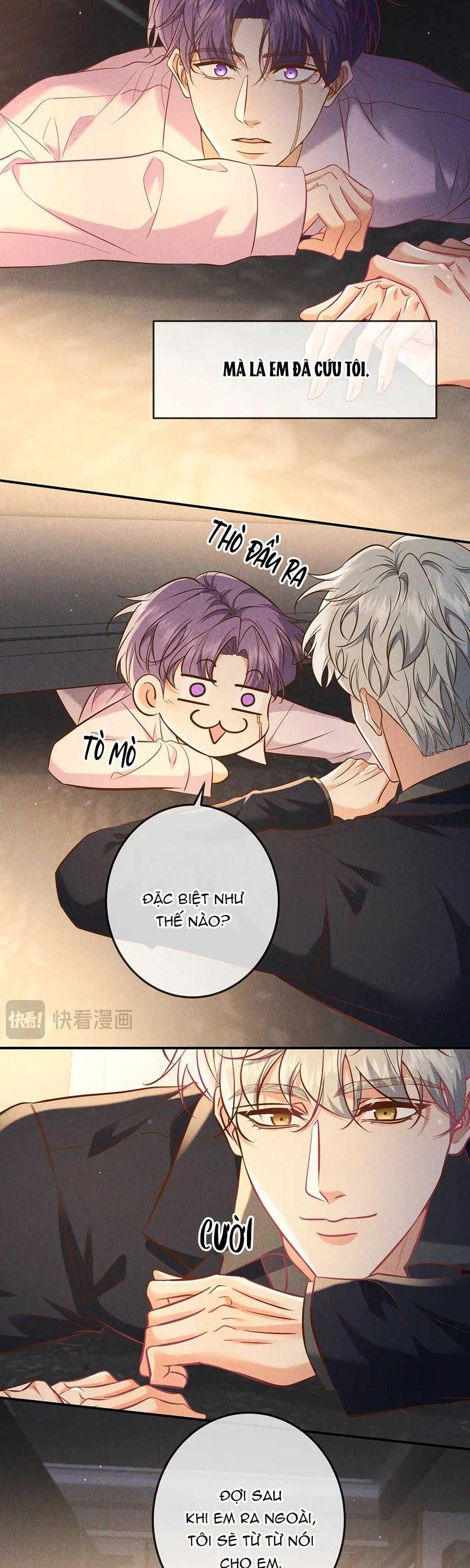 đọc truyện Cạn Tình Chương 62 ảnh 19 tại Giả Dược