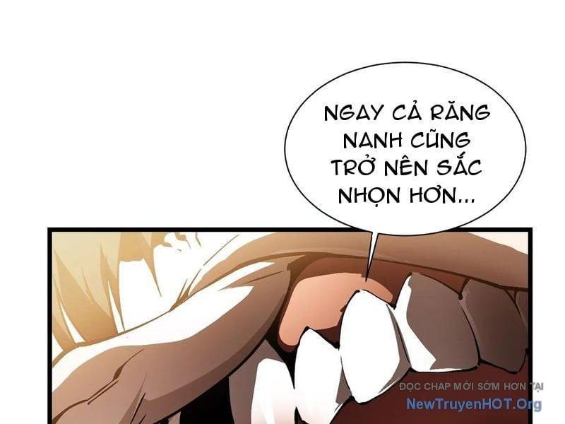 đọc truyện Cao Võ Tiến Hóa: Bắt Đầu Thức Tỉnh Quái Thú Chi Vương Chương 42 ảnh 112 tại Thiên Thai Truyện
