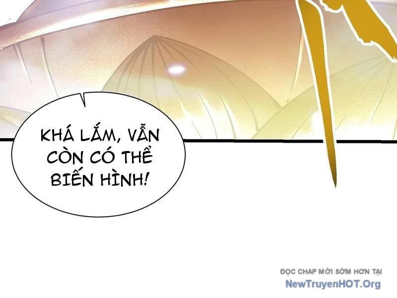 đọc truyện Cao Võ Tiến Hóa: Bắt Đầu Thức Tỉnh Quái Thú Chi Vương Chương 52 ảnh 73 tại Thiên Thai Truyện