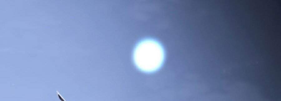 đọc truyện Cậu Bé Của Thần Chết Chương 118 ảnh 144 tại Thiên Thai Truyện