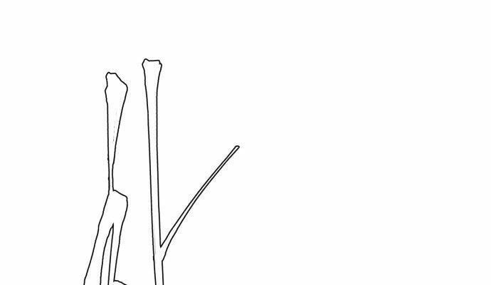 đọc truyện Cậu Bé Của Thần Chết Chương 3 ảnh 58 tại Thiên Thai Truyện