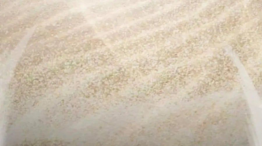 đọc truyện Cậu Bé Của Thần Chết Chương 301 ảnh 84 tại Thiên Thai Truyện