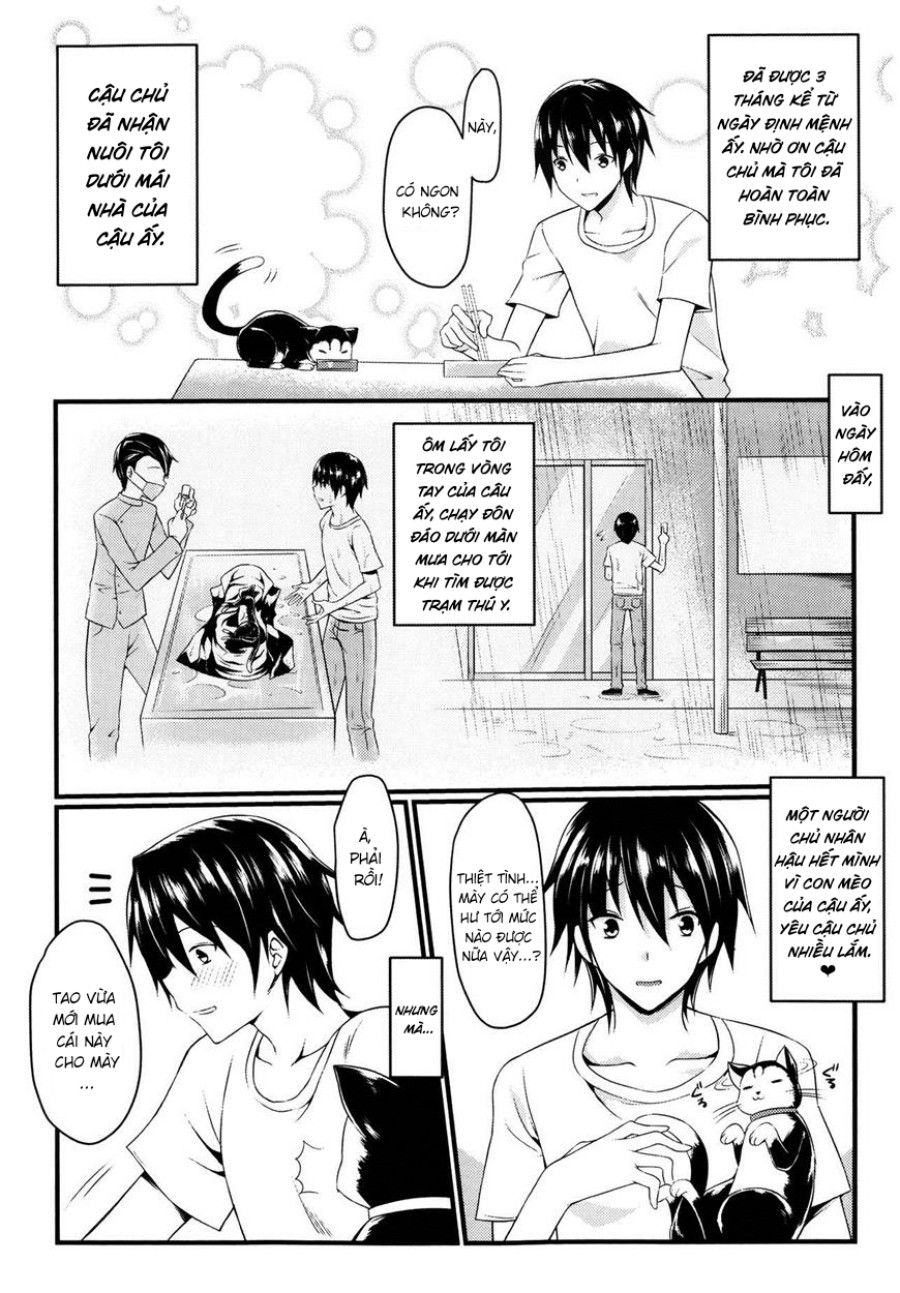 Câu Chuyện Về Mèo Và Bạn Oneshot page 6 - Giả Dược