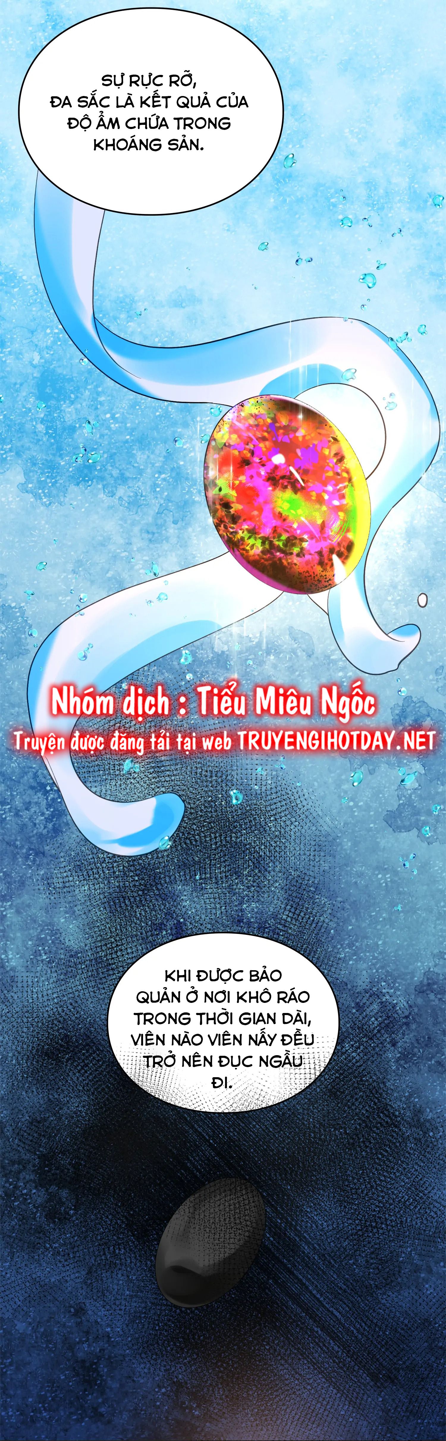 đọc truyện Câu Chuyện Về Nữ Công Tước Chương 12 ảnh 13 tại Giả Dược