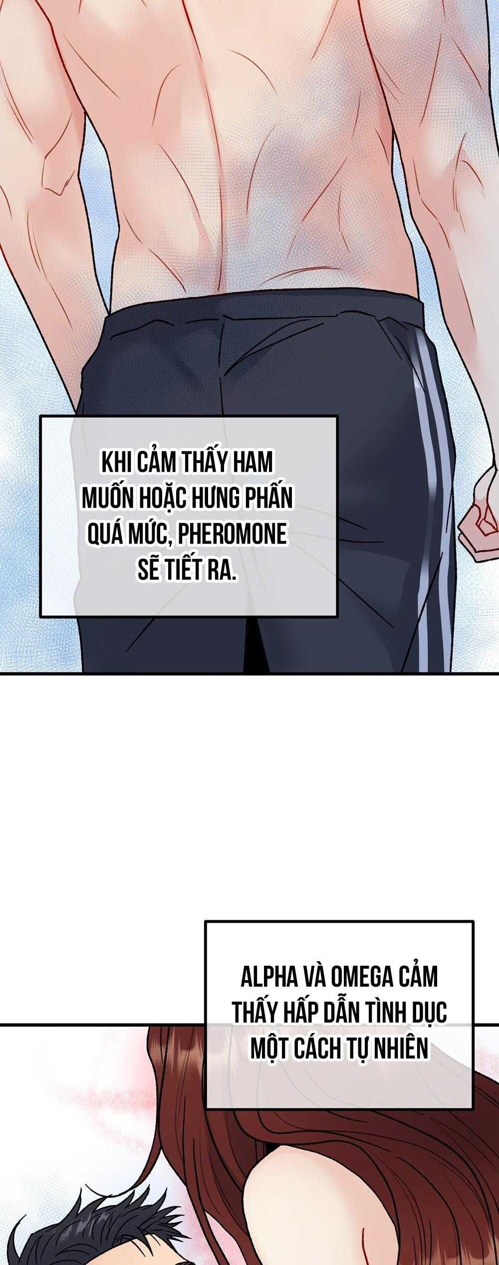 đọc truyện Cậu Không Phải Là Gu Của Tôi Chương 40 ảnh 2 tại Thiên Thai Truyện