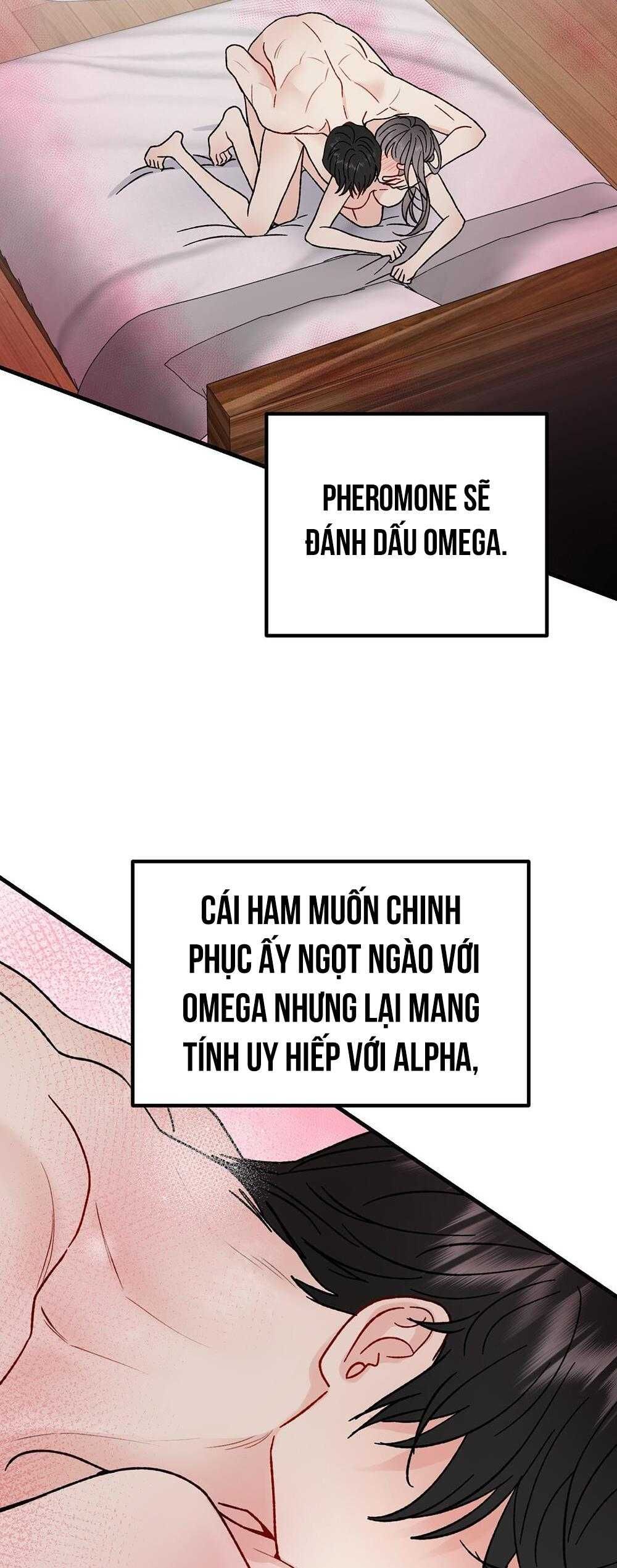 đọc truyện Cậu Không Phải Là Gu Của Tôi Chương 40 ảnh 5 tại Thiên Thai Truyện