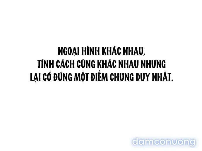 đọc truyện Câu Lạc Bộ Chị Đẹp Chương 1 ảnh 5 tại Thiên Thai Truyện