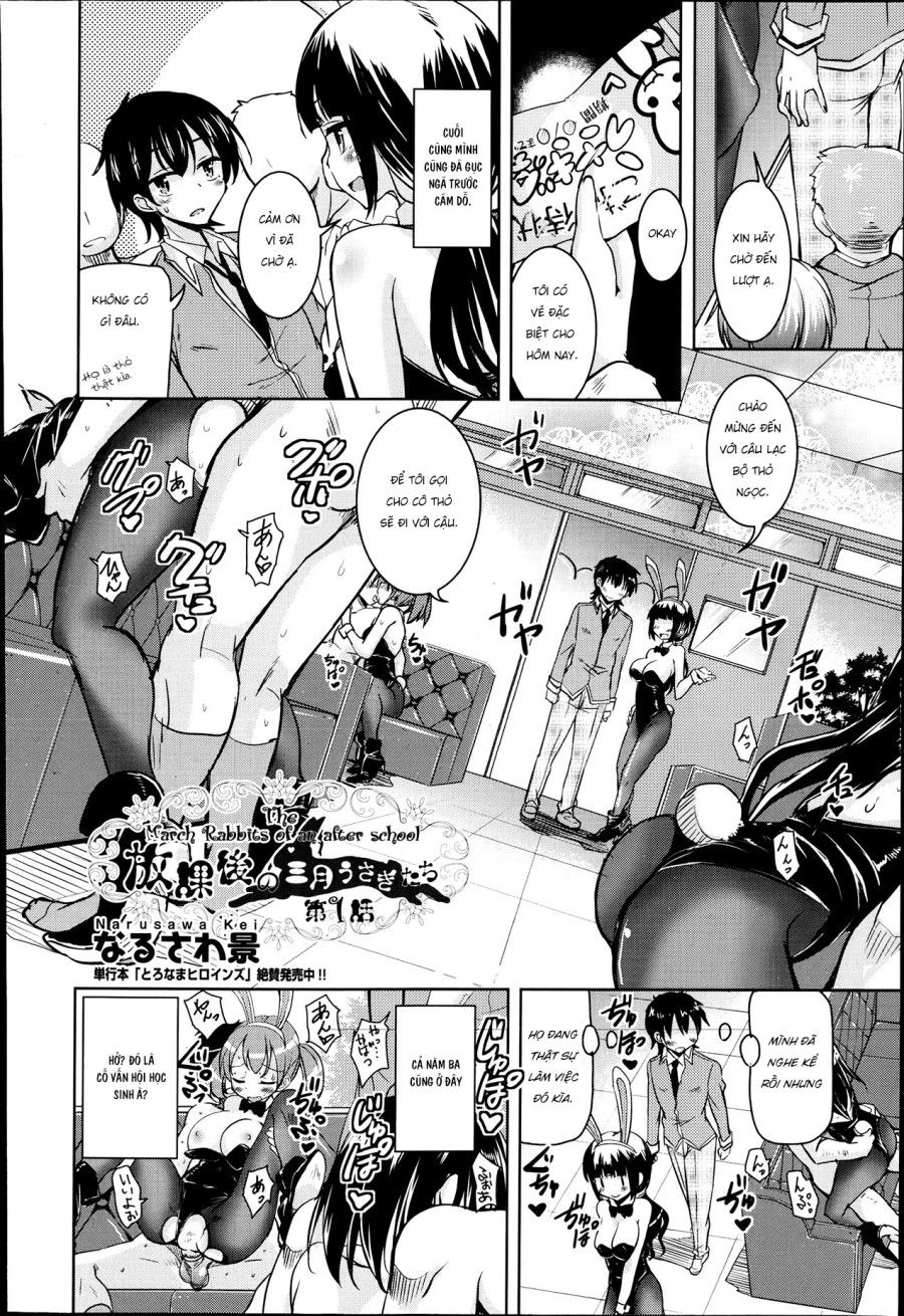 Câu Lạc Bộ Thỏ Ngọc Dâm Đãng Chương 1 page 4 - Giả Dược