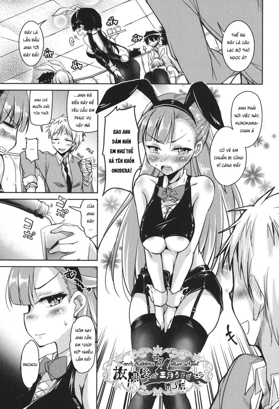 Câu Lạc Bộ Thỏ Ngọc Dâm Đãng Chương 3 page 3 - Giả Dược