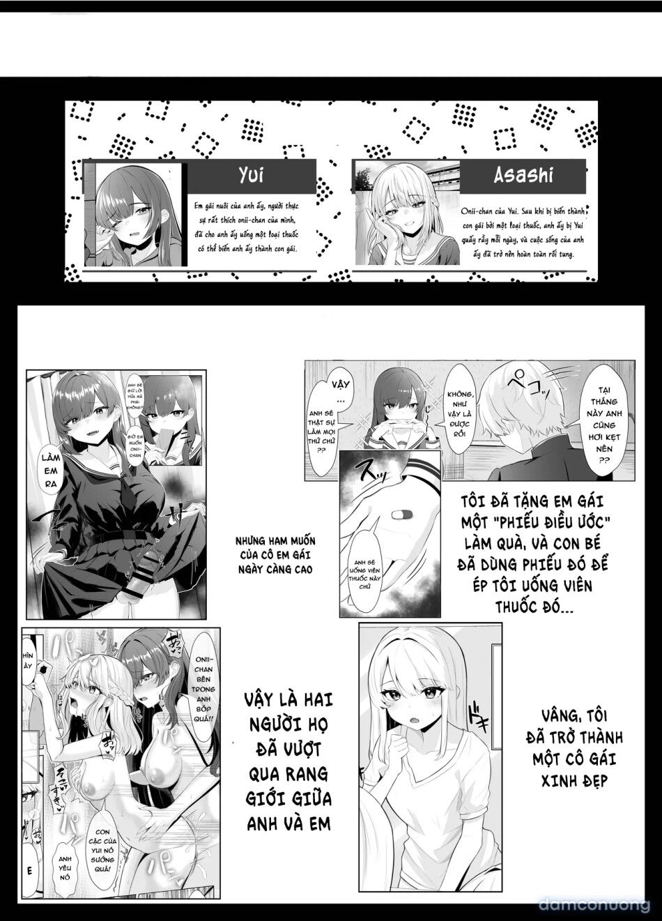 đọc truyện Câu Truyện Về Onii~chan Bị Cô Em Gái Futa Biến Thành Em Gái Chương 2 ảnh 4 tại Thiên Thai Truyện