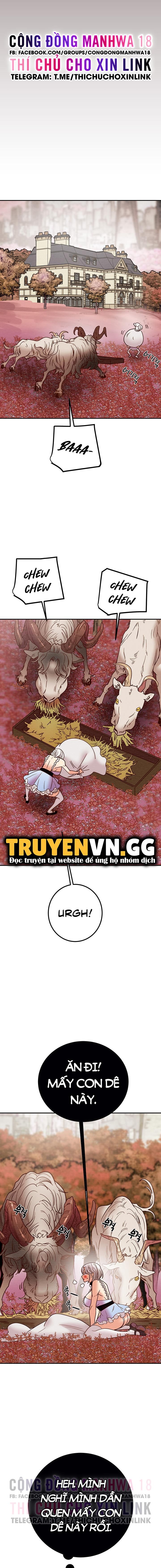 đọc truyện Cây Búa Thần Chương 39 ảnh 22 tại Giả Dược
