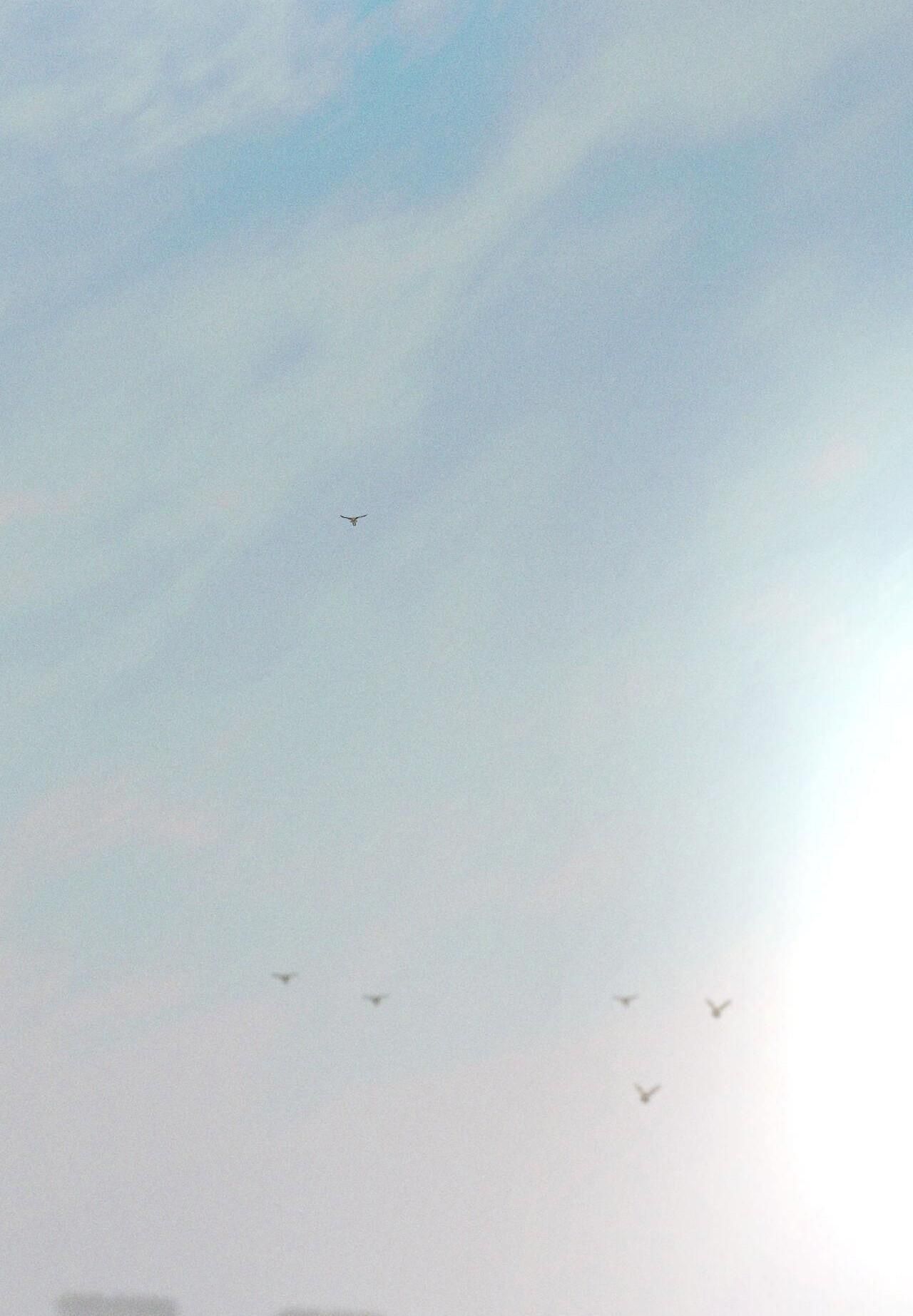 đọc truyện (cbunu) Antidote Chương 60 ảnh 8 tại Thiên Thai Truyện