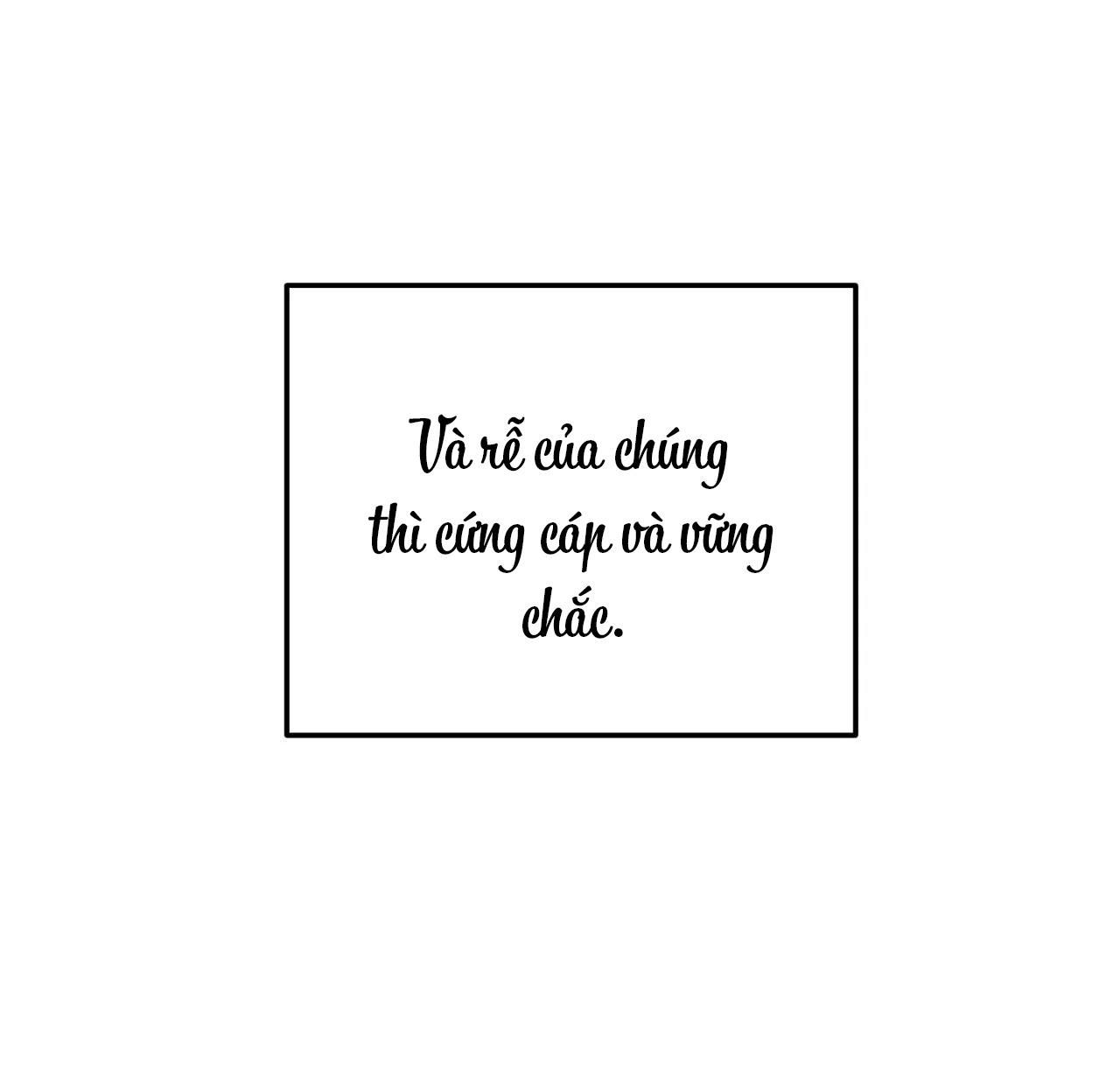 đọc truyện (cbunu) Cây Không Có Rễ Chương 1 ảnh 32 tại Giả Dược