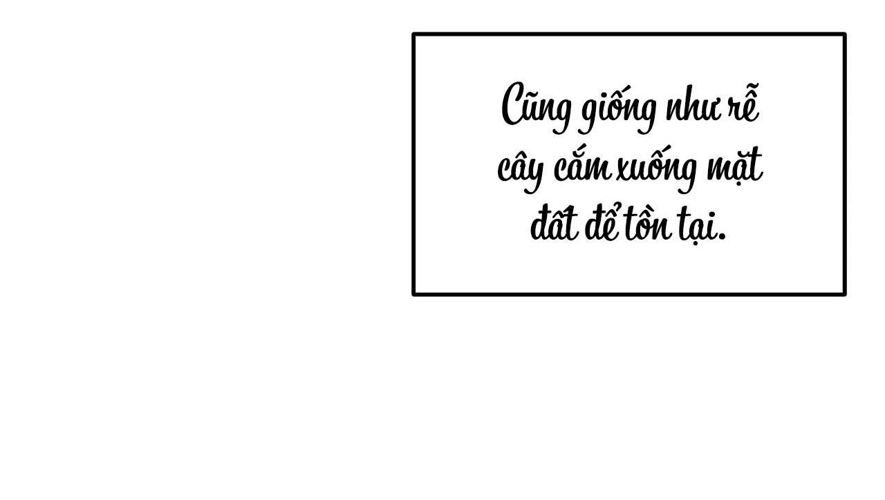 đọc truyện (cbunu) Cây Không Có Rễ Chương 26 ảnh 92 tại Giả Dược