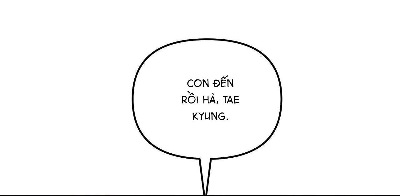 đọc truyện (cbunu) Cây Không Có Rễ Chương 41 ảnh 25 tại Giả Dược