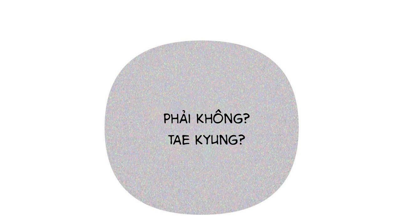 đọc truyện (cbunu) Cây Không Có Rễ Chương 49 ảnh 162 tại Giả Dược
