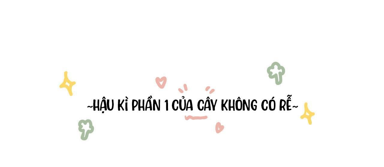 đọc truyện (cbunu) Cây Không Có Rễ Chương 51.1 ảnh 1 tại Giả Dược