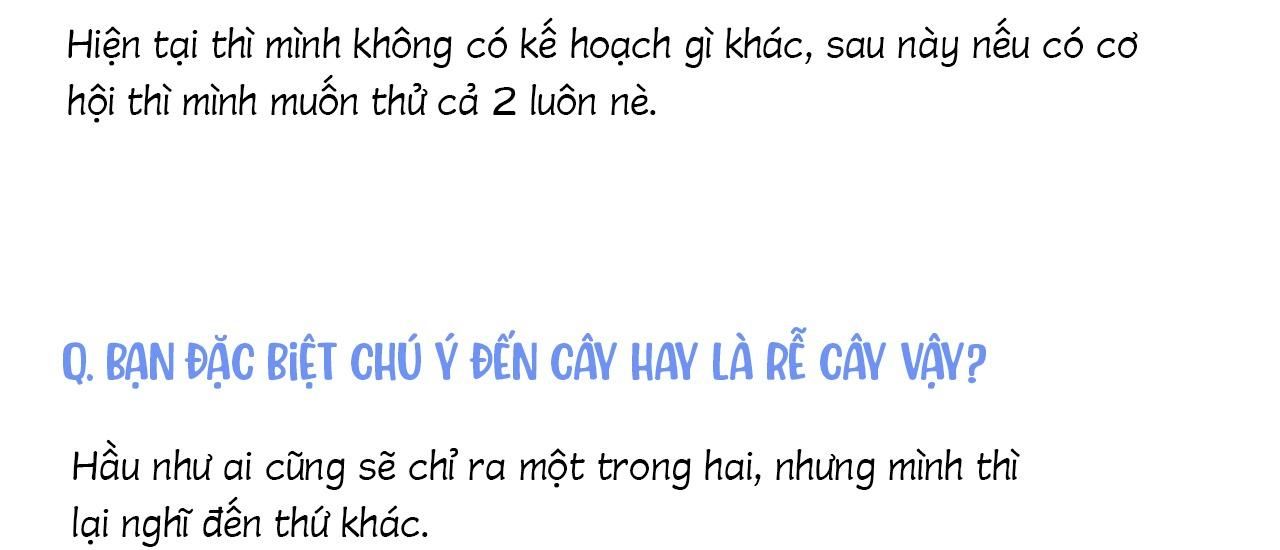 đọc truyện (cbunu) Cây Không Có Rễ Chương 51.1 ảnh 33 tại Giả Dược