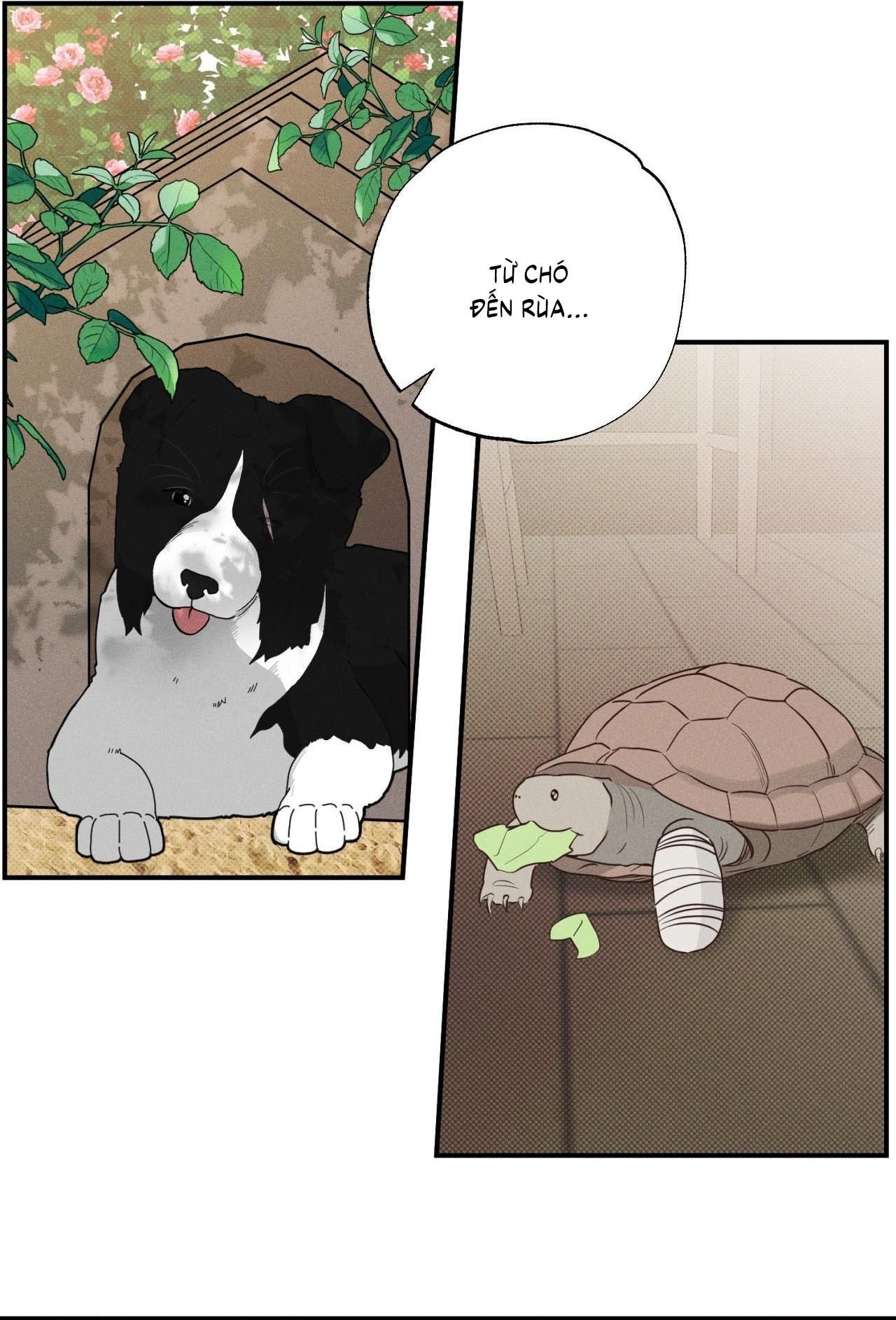 đọc truyện (cbunu) Đầm Lầy Của Nhân Ngư Chương 24 ảnh 49 tại Thiên Thai Truyện