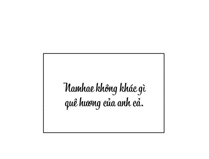 đọc truyện (cbunu) Giai Điệu Của Bạn, Tiếng Lòng Của Tôi Chương 25 ảnh 63 tại Truyện Dạ Ký