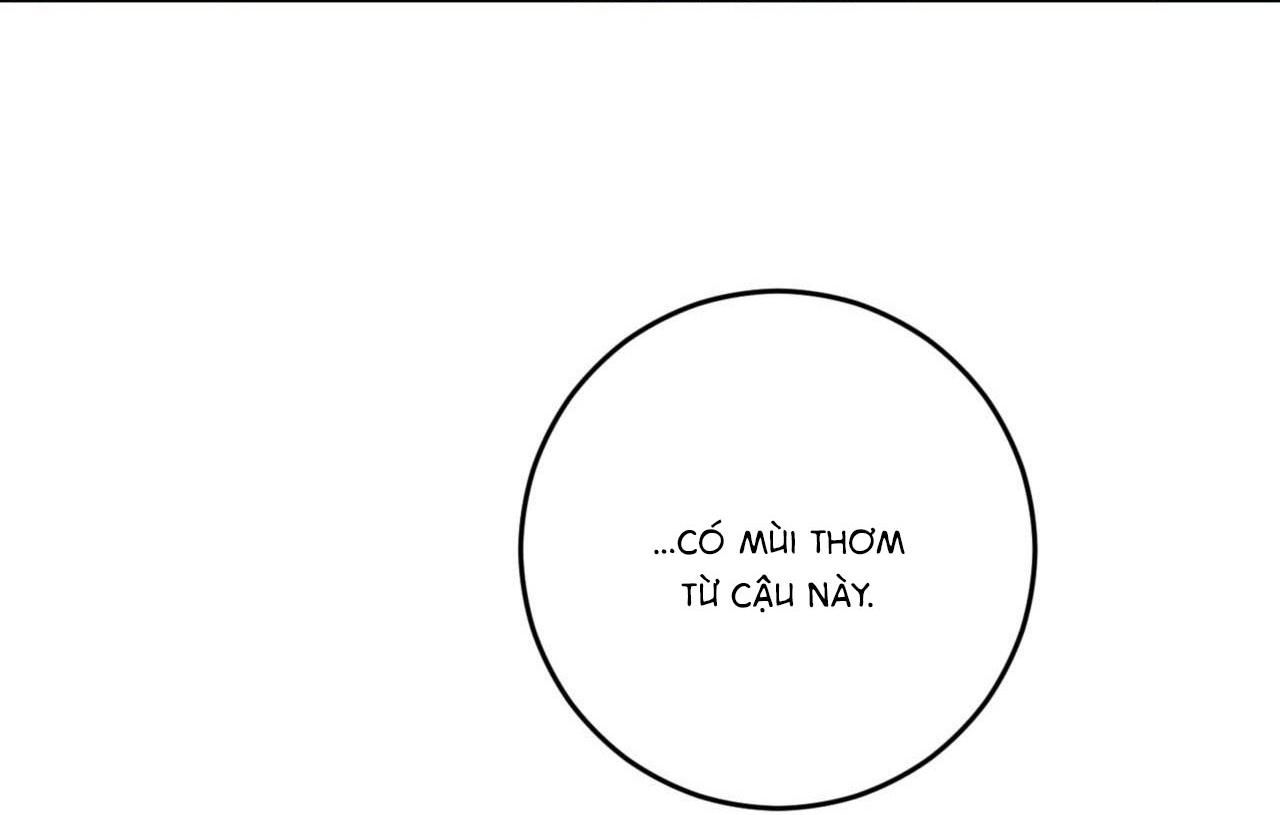 đọc truyện (cbunu) Khu Rừng Tĩnh Lặng Chương 10 ảnh 139 tại Truyện Dạ Ký