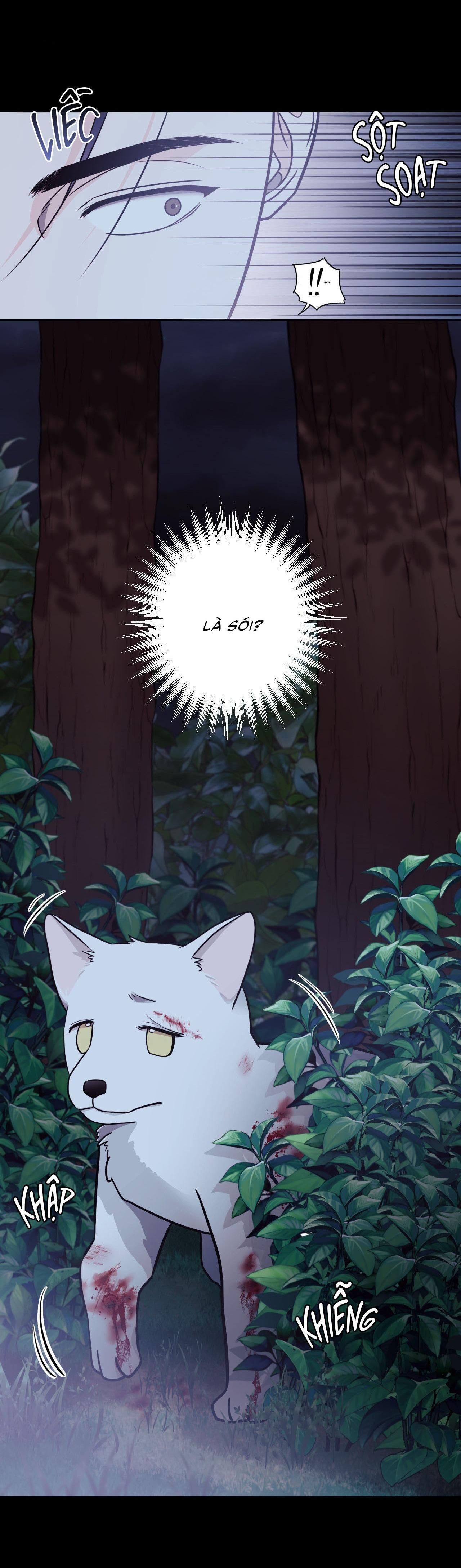 đọc truyện (cbunu) Lovely Wolf Chương 1 ảnh 22 tại Truyện Dạ Ký