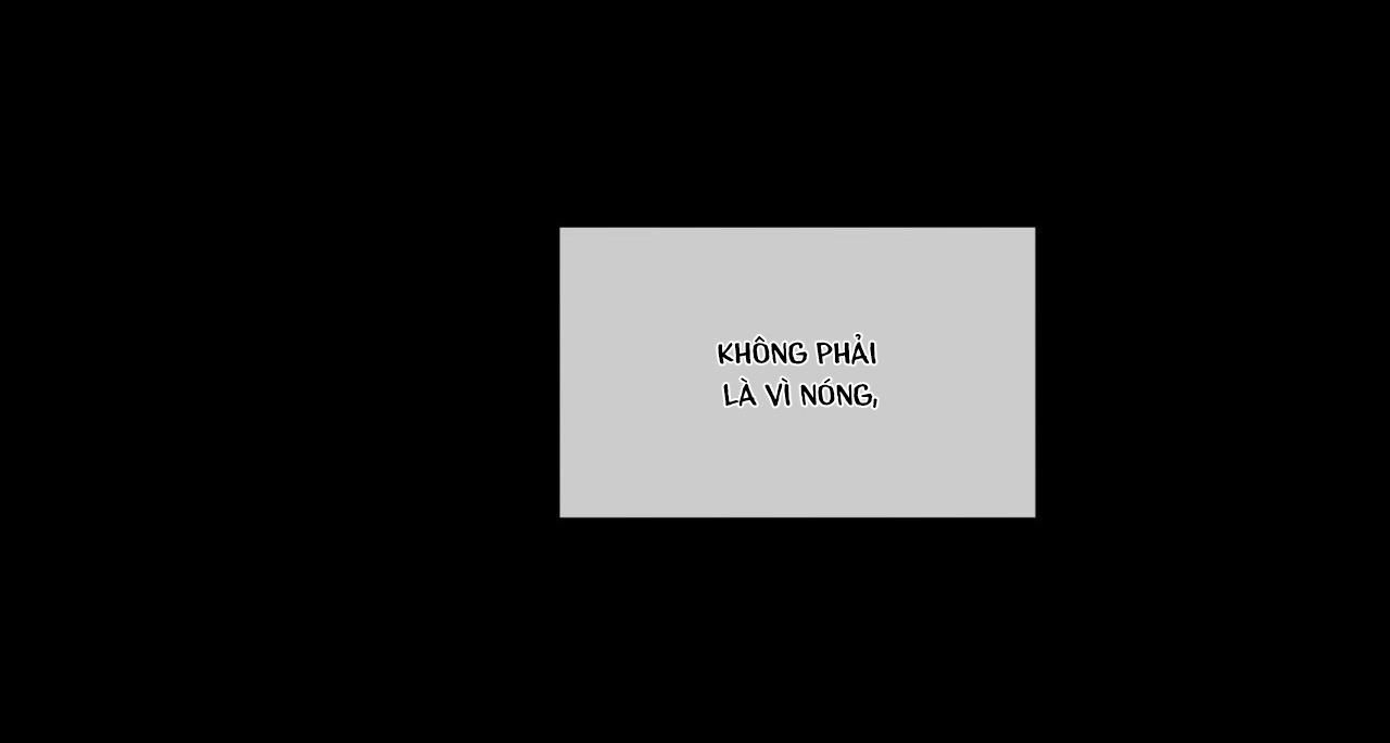 đọc truyện (cbunu) Phạm Luật Chương 21 ảnh 44 tại Giả Dược
