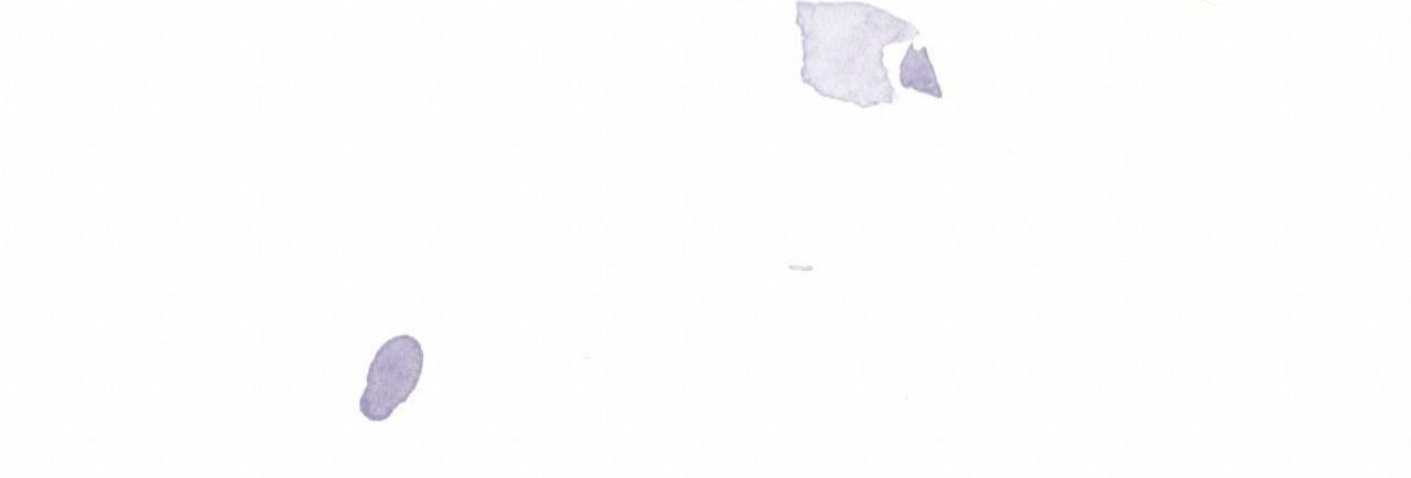 đọc truyện (cbunu) Phạm Luật Chương 53 ảnh 52 tại Giả Dược